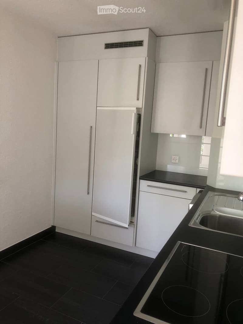 Modern kitchen with white cabinets, black countertops, and a stainless steel sink. Features include a built-in refrigerator, electric stove, and sleek design.
