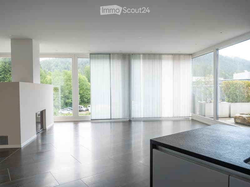 Appartement attique luxueux XXL avec sauna & très spacieux (>300 m2) (25)