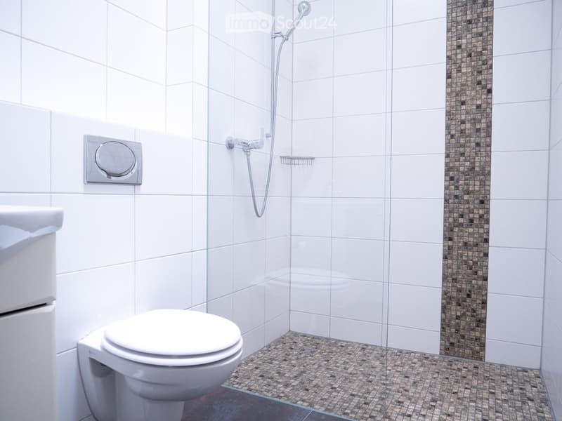 Appartement attique luxueux XXL avec sauna & très spacieux (>300 m2) (15)