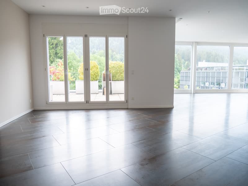 Appartement attique luxueux XXL avec sauna & très spacieux (>300 m2) (23)