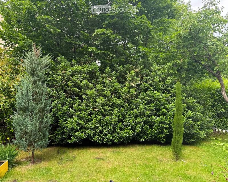 Well-maintained garden with a neatly trimmed hedge, several trees, and a grassy lawn.