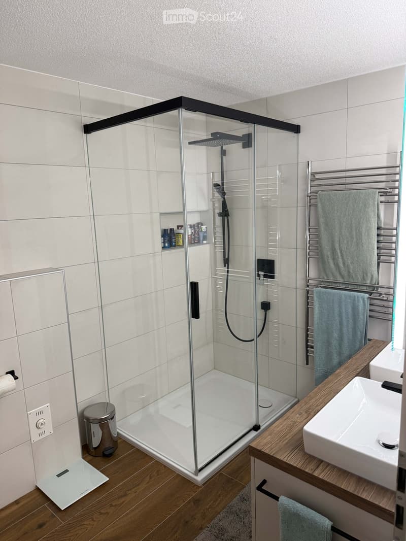 Modern bathroom with a glass-enclosed shower, a wooden vanity with a sink, a towel rack with towels, and a small shelf inside the shower holding toiletries.