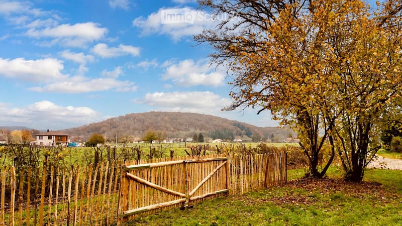 A wooden fence with a gate encloses a grassy area, with a tree and a house visible in the background under a clear blue sky.