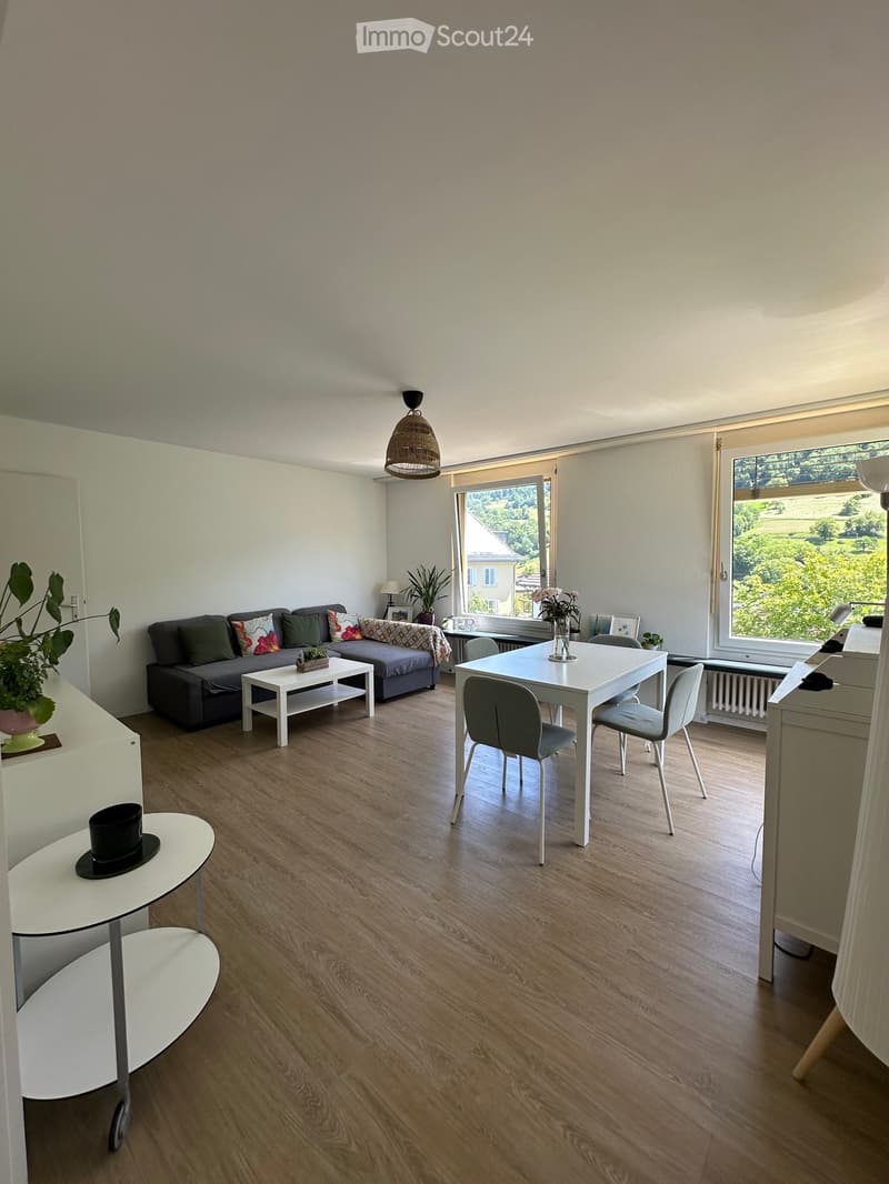 Bright living room with wooden flooring, a grey sofa with colorful cushions, a white coffee table, a dining table with chairs, and a hanging wicker lamp.
