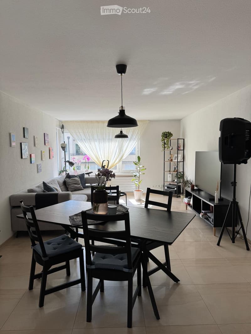Modern living and dining area with a sofa, dining table, chairs, pendant lights, shelves, plants, and a screen on a tripod.