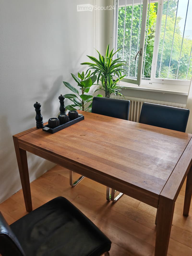 Dining area with a wooden table, black chairs, and a pepper grinder on the table. A large leafy plant is near the window.