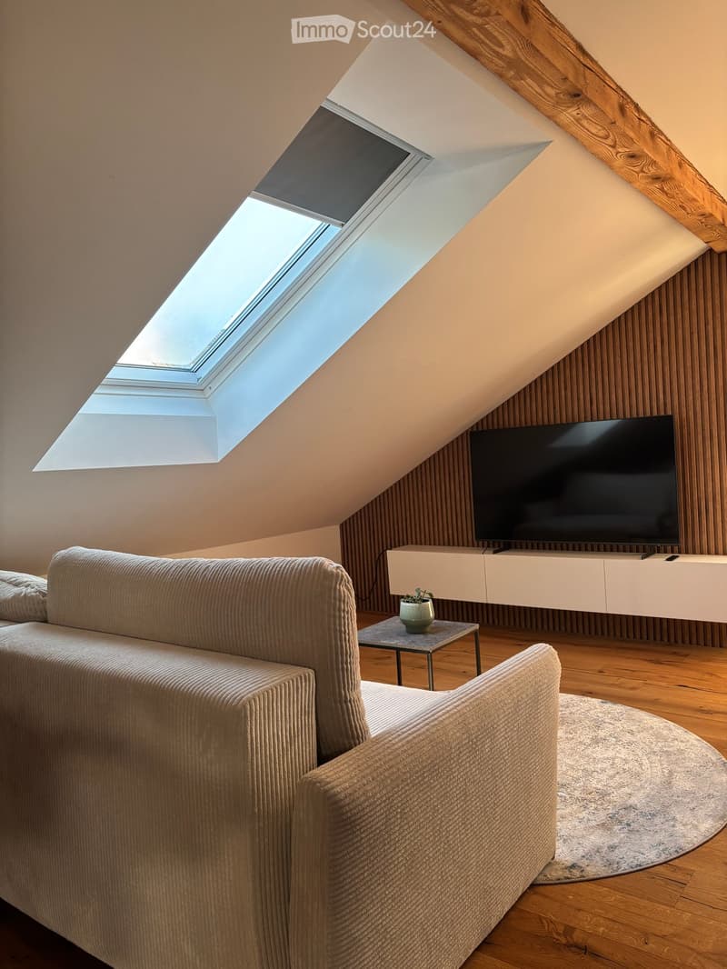 Modern living room with a slanted ceiling, skylight window, light-colored sofa, coffee table, television on a white sideboard, and a small potted plant.