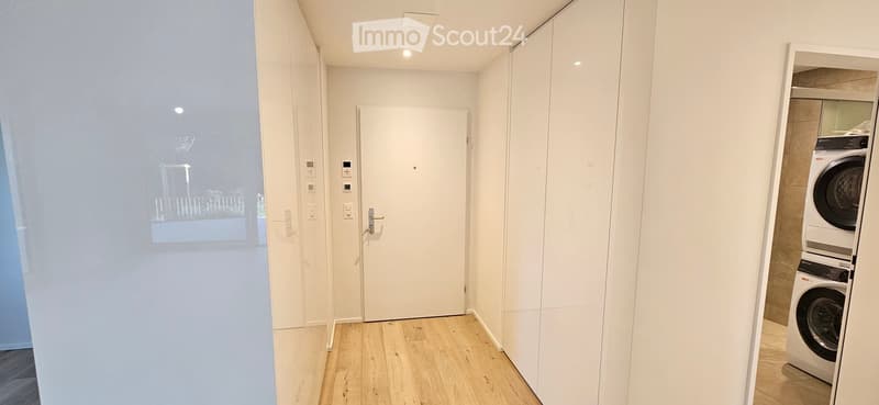 Modern hallway with white walls, wooden flooring, and built-in storage units. A closed door leads to another room, and a washer/dryer unit is visible in an adjacent space.