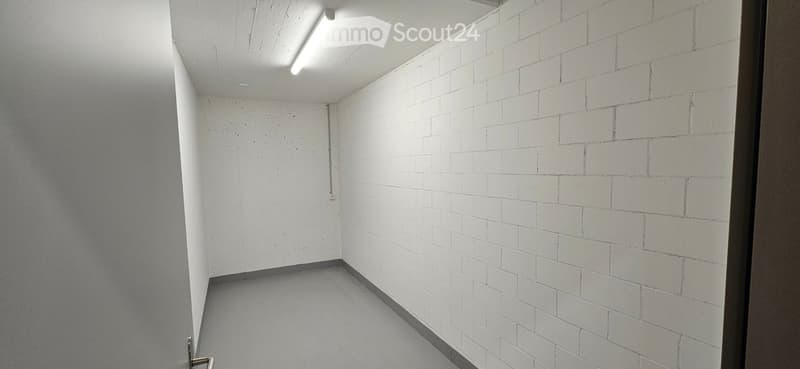 Empty room with white brick walls and a smooth concrete floor, featuring a single door and a fluorescent light fixture on the ceiling.