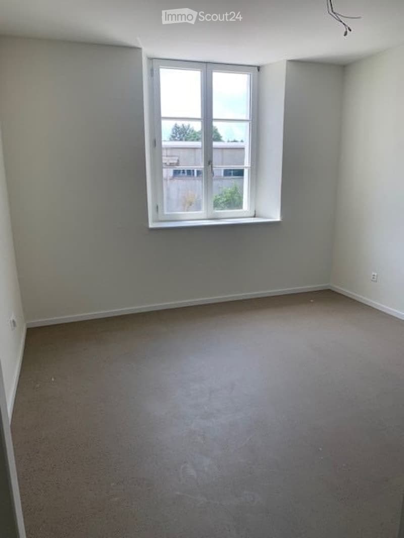 Empty room with light grey walls, carpeted floor, and a single window with white frame and glass panes.