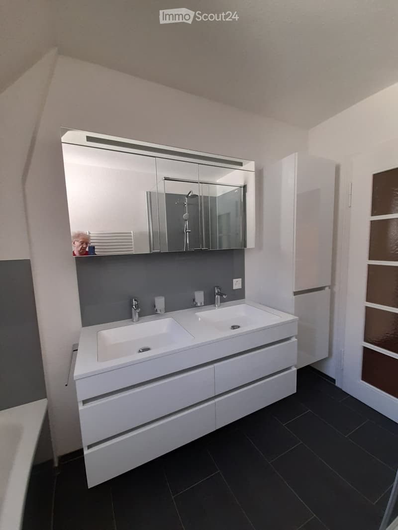 Modern bathroom with double sink vanity, large mirror, and sleek fixtures.