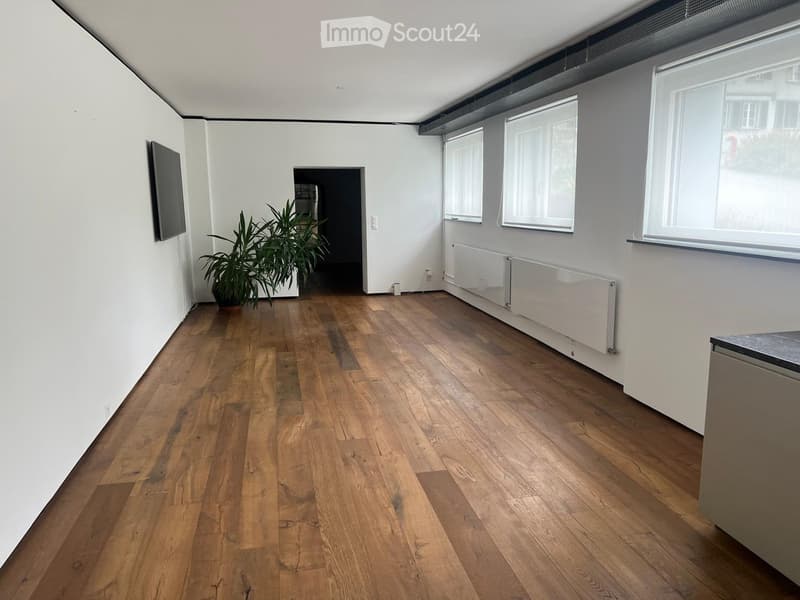 Empty room with wooden flooring, white walls, large windows, radiator, and a potted plant near the doorway.