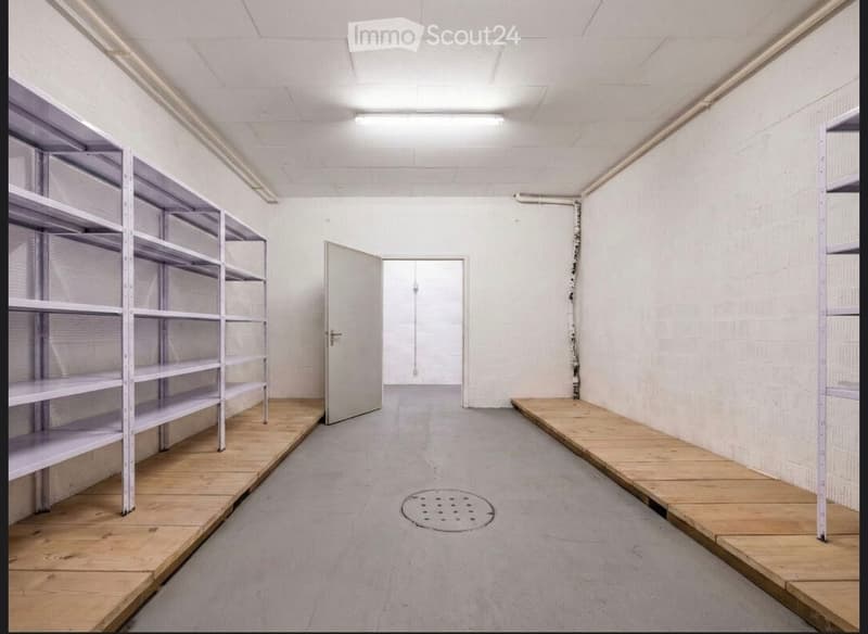 Empty room with white walls, grey floor, metal shelving units on both sides, and a single door leading to another space.