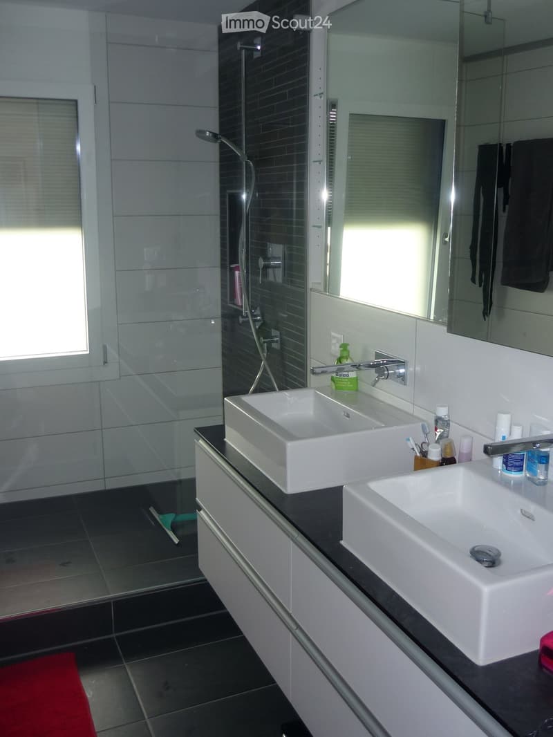 Modern bathroom with double sink vanity, large mirror, glass shower enclosure, and various toiletries on the counter.
