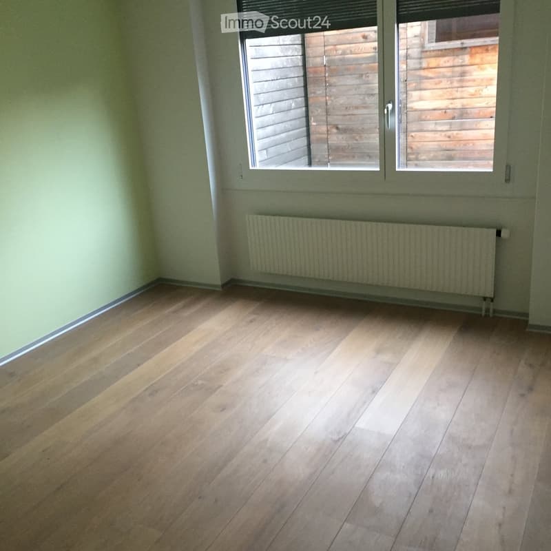 Empty room with light green walls, wooden flooring, and a radiator under a large window with blinds.