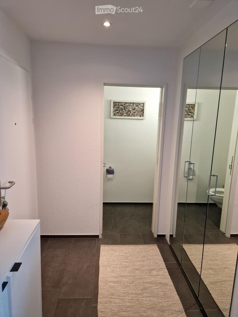 Modern hallway with light-colored walls, dark tiled floor, glass shower enclosure, and a small rug. A small cabinet and a framed artwork are visible.
