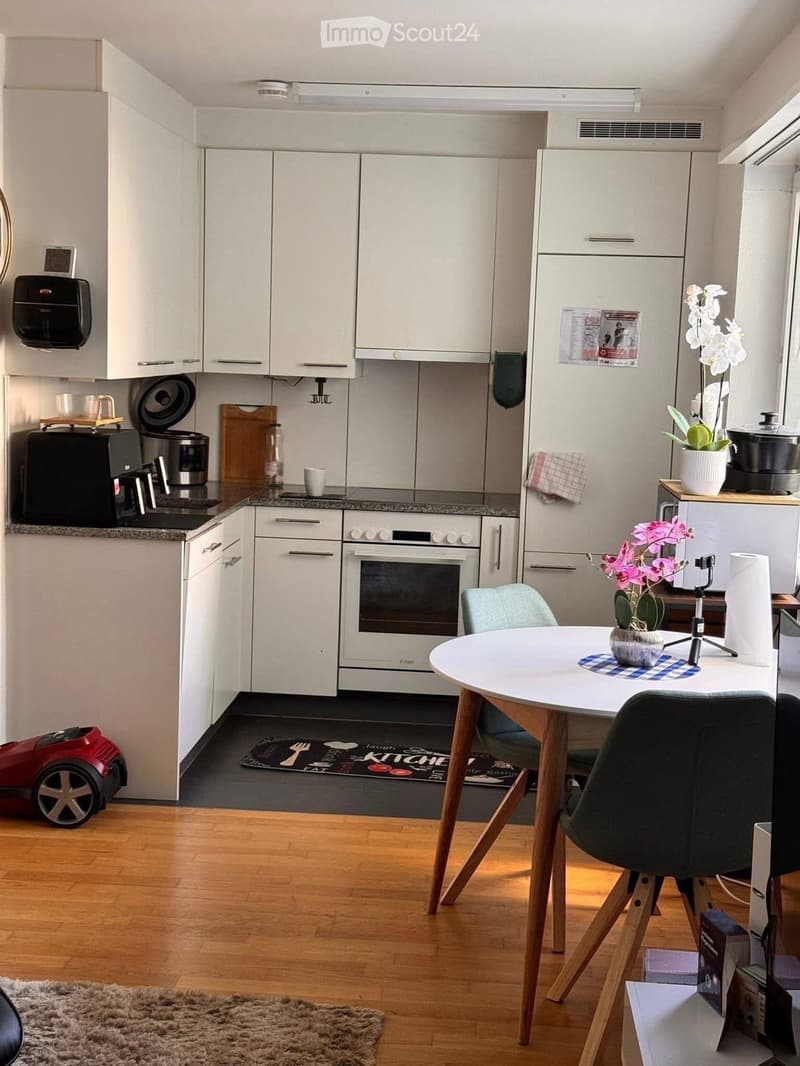 Modern kitchen with white cabinets, stainless steel appliances, a round dining table with chairs, and decorative flower pots.