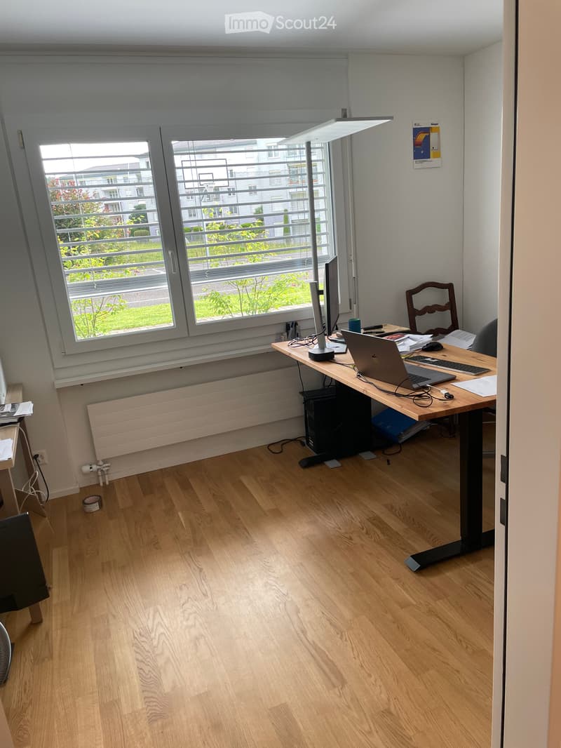 Apartment in Kriens (5)