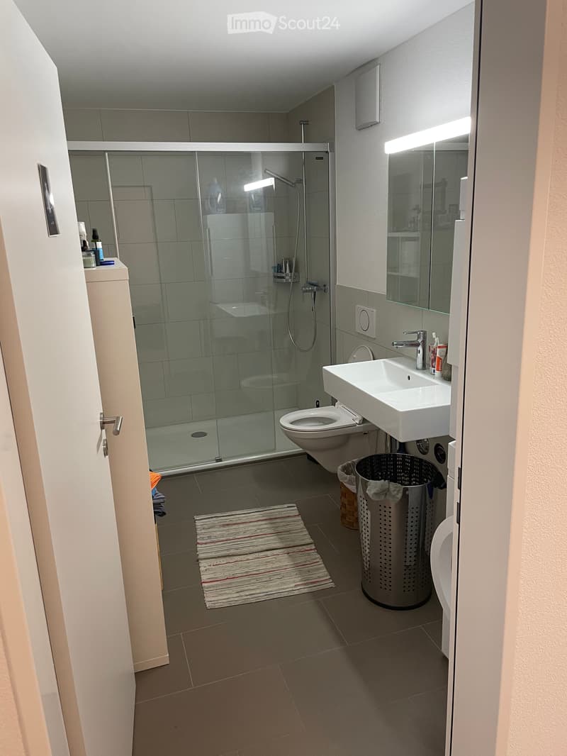 Apartment in Kriens (4)