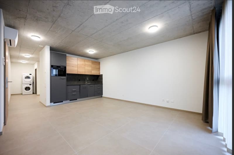 Modern, minimalist kitchen area with built-in cabinets, stainless steel appliances, and a private washing machine. The space features a clean, contemporary design with neutral tones and recessed lighting.
