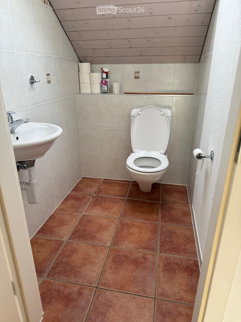 small bathroom, white sink, toilet, toilet paper, shelves with toilet paper and bottle