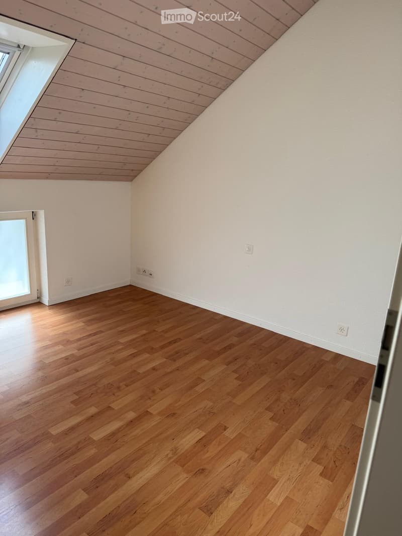 Empty room with wooden flooring, white walls, and a slanted wooden ceiling. Features a skylight window and a door with glass panels.