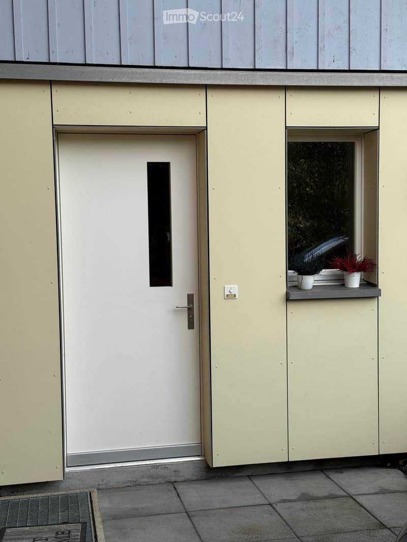 exterior front door, yellow wall, window with plants, metal panel wall, door entrance