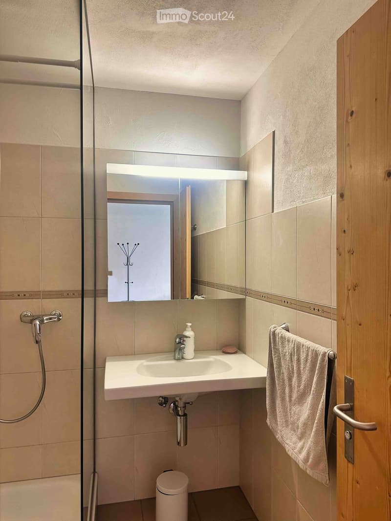 Modern bathroom with a white sink, mirror with built-in lighting, towel on a rack, and a shower hose visible.