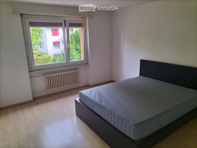 Bedroom with a single bed, light wooden flooring, and large windows with blinds. The room has white walls and a radiator under the window.