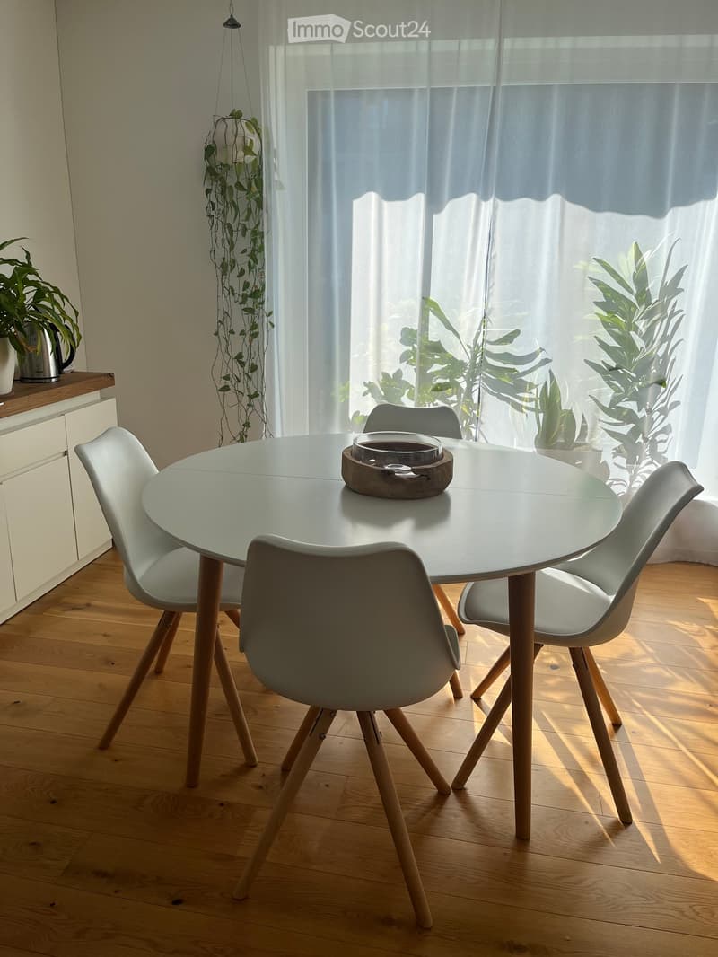 A modern dining area with a round glass table, four grey chairs, a small bowl on the table, a white cabinet, and a potted plant near the window.
