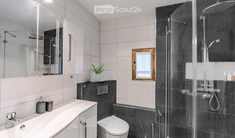 Modern bathroom with white tiles, a large mirror, a glass-enclosed shower, a toilet, a sink with a faucet, and a small plant on the windowsill.