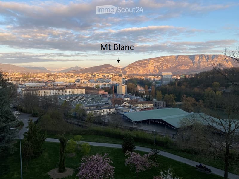 Panoramic view of a cityscape with buildings, a park area with trees and pathways, and distant mountain range labeled "Mt Blanc".