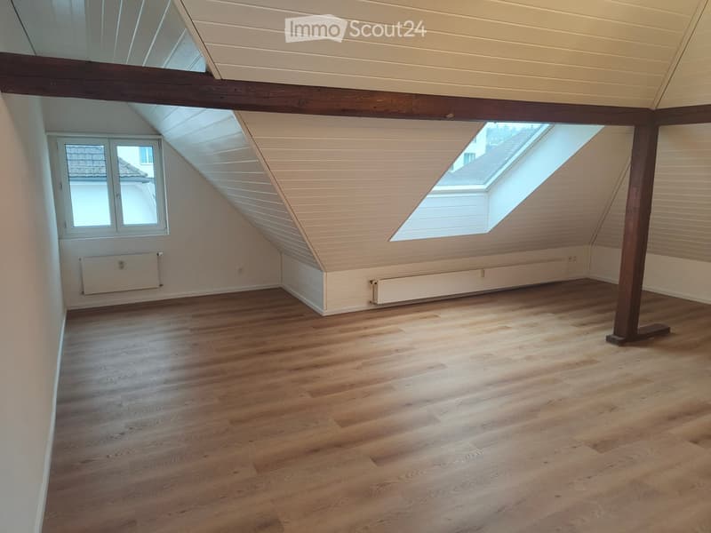 Empty attic space with wooden flooring, white walls, exposed wooden beams, skylight windows, and radiators.