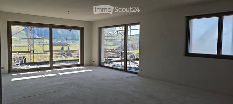 unfurnished room, large windows, white walls, unfinished floor