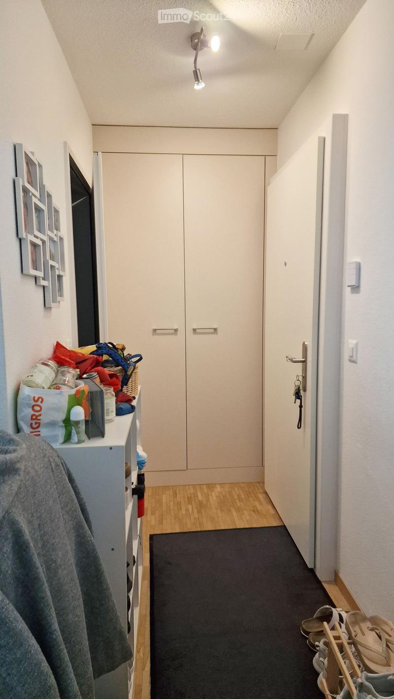 A narrow hallway with wooden flooring, white walls, built-in storage cabinets, and a small shelf with various items including bags, shoes, and a fire extinguisher.
