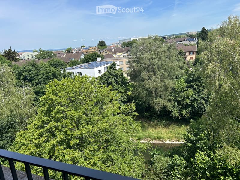 A view from a balcony or terrace overlooking a lush, green neighborhood with trees, houses, and a small stream below.