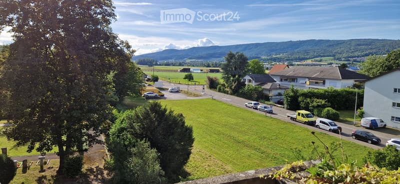A panoramic view of a rural area with a road, parked cars, houses, green fields, and distant mountains under a clear sky.