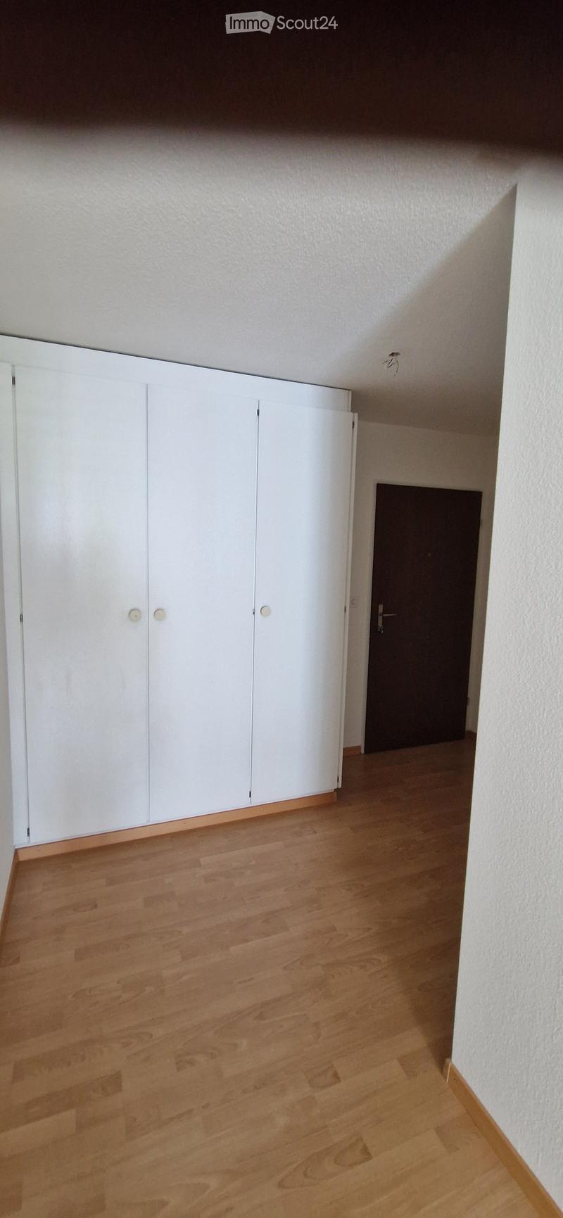 Empty hallway with wooden flooring, white built-in closet, and a dark door at the end.