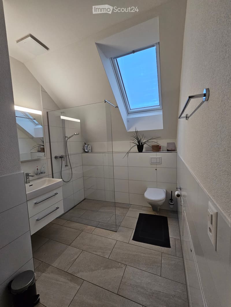 Modern bathroom with a skylight window, glass shower enclosure, white tiles, and a sink with a mirror. Includes a toilet, a small plant on the windowsill, and a black bath mat.