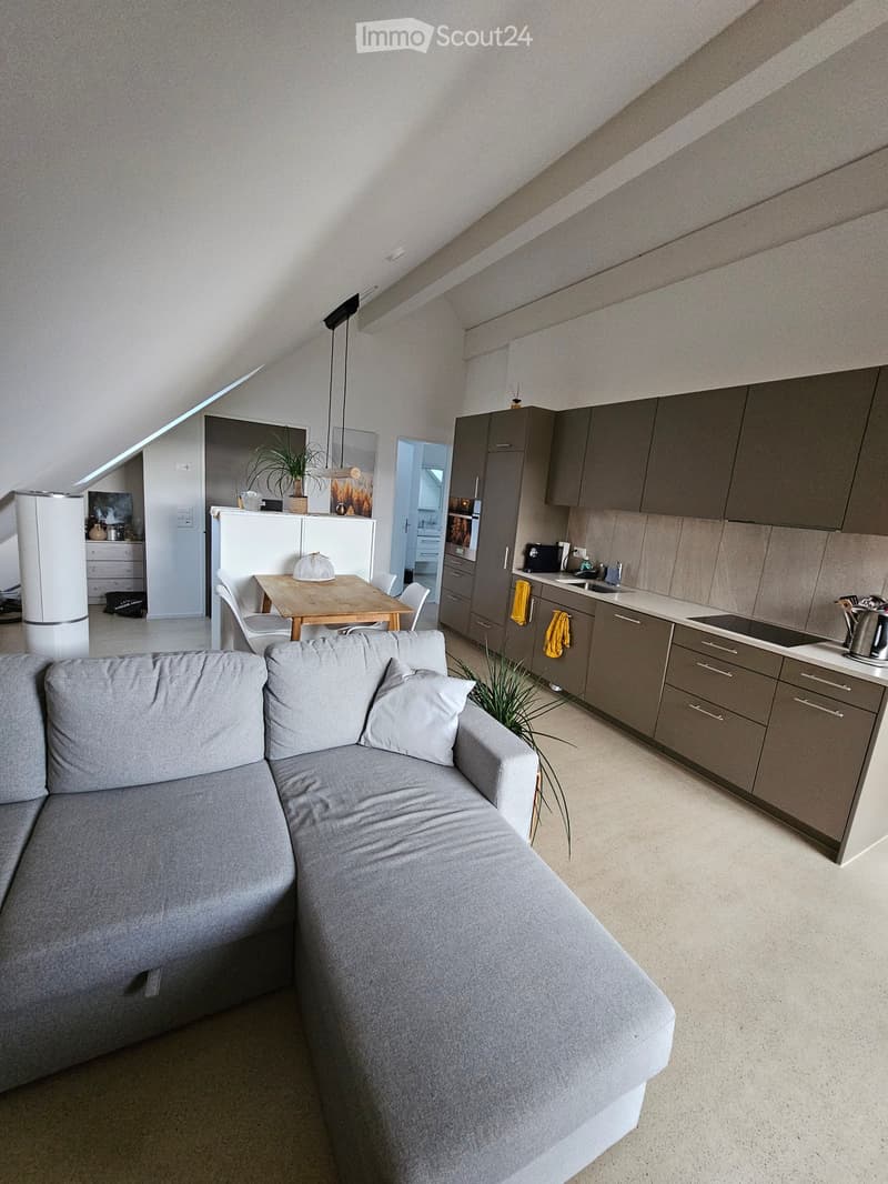 A modern, open-plan living and dining area with a grey sectional sofa, a wooden dining table with chairs, and a fully equipped kitchen featuring grey cabinets, a sink, and various appliances.
