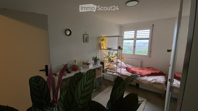 Cozy bedroom with a bed, shelf, desk, and various decorative items including plants and a mirror.