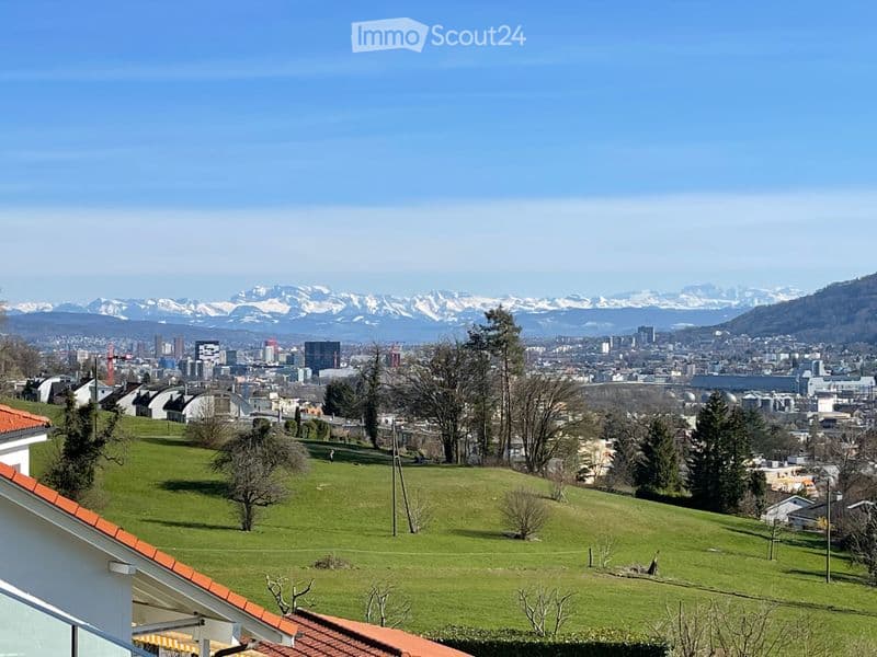 Panoramic view of a cityscape with snow-capped mountains in the background, green hills, and scattered trees.