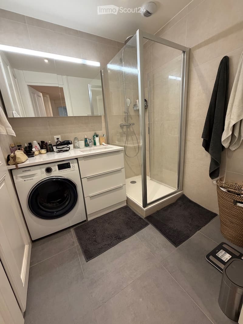 Modern bathroom with a glass-enclosed shower, a sink with a large mirror, a washing machine, and various toiletries on the counter.