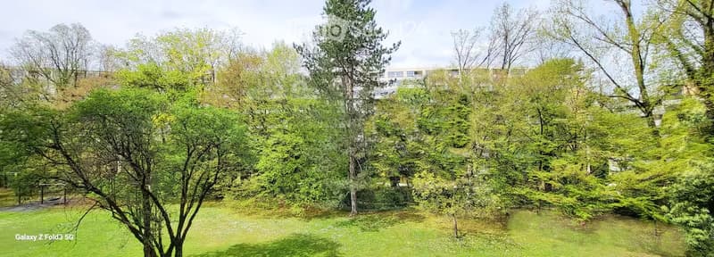 A lush green garden with various trees and shrubs, providing a serene and natural setting.