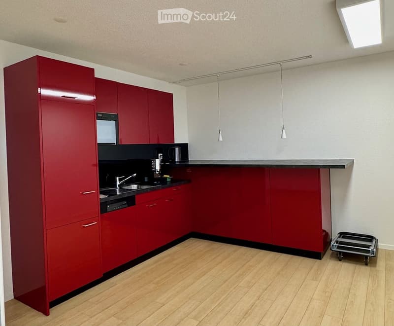 Modern kitchen with red cabinets, wooden flooring, and stainless steel appliances including a sink, oven, and dishwasher. A coffee maker and cup are on the counter.