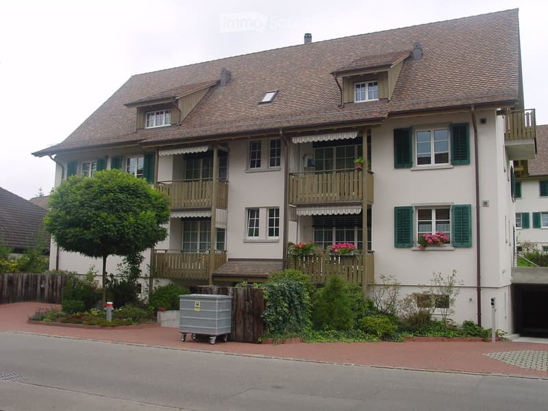 3 story house, brown roof, green shutters, balconies, garden, trash bin