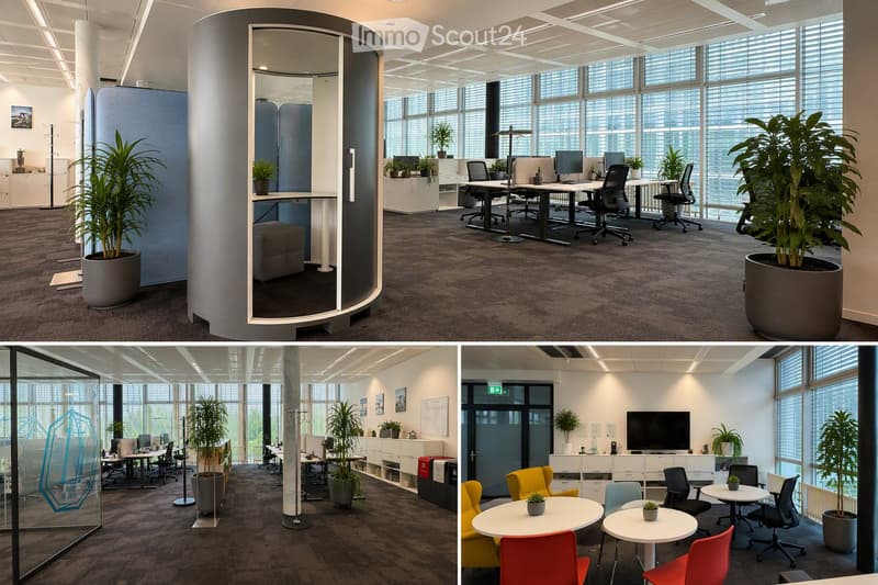 Modern office space with large windows, desks, chairs, plants, and a lounge area with tables and chairs.
