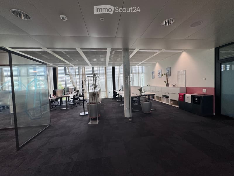 Modern office space with desks, chairs, computers, potted plants, and cabinets.