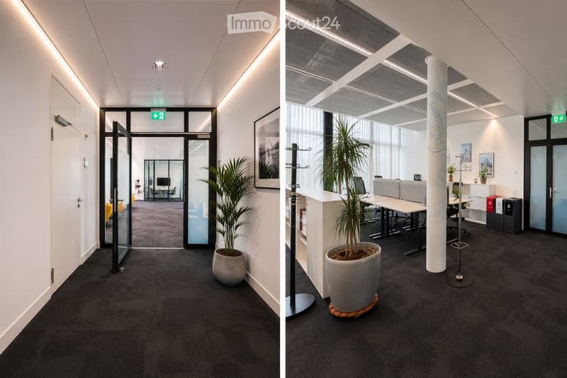 Modern office corridor with glass doors, potted plants, and a clean, minimalist design. The area features a carpeted floor, white walls, and recessed lighting.