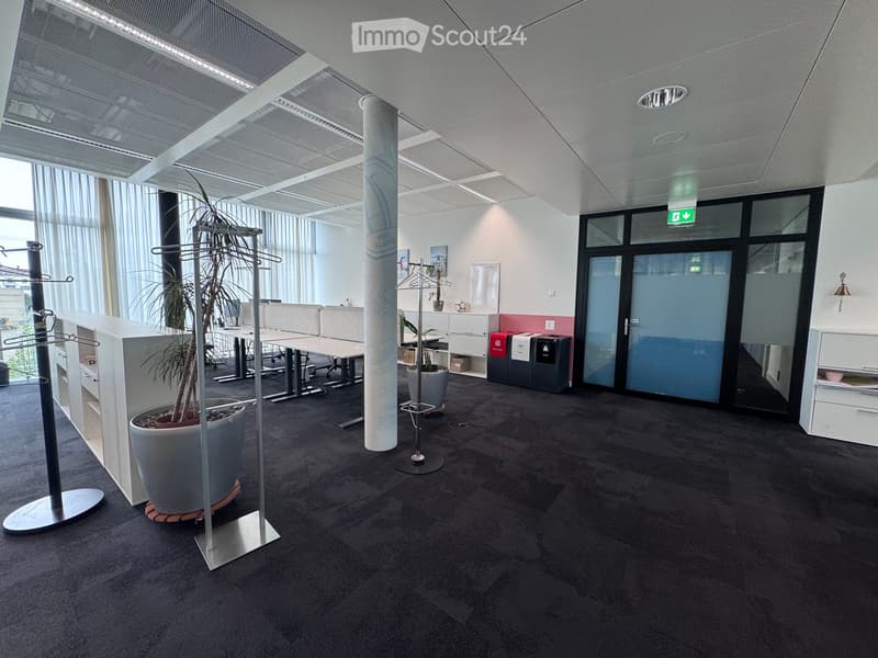 Modern office space with a large potted plant, tables, chairs, and a coat rack. The area features a carpeted floor, white walls, and a large window with blinds.